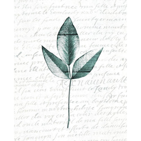 Pressed Leaves 2 White Modern Wood Framed Art Print by Kimberly, Allen