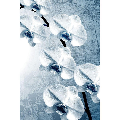 Climbing Orchids 2 Gold Ornate Wood Framed Art Print with Double Matting by Kimberly, Allen