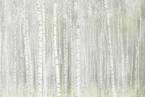 Into the Birches White Modern Wood Framed Art Print with Double Matting by Kimberly, Allen
