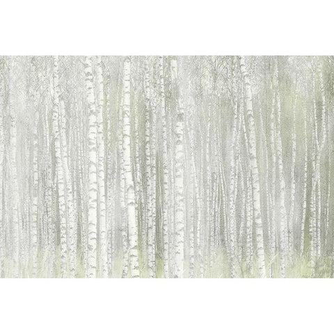 Into the Birches Gold Ornate Wood Framed Art Print with Double Matting by Kimberly, Allen