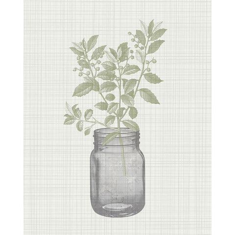 In the Jar 2 White Modern Wood Framed Art Print by Kimberly, Allen