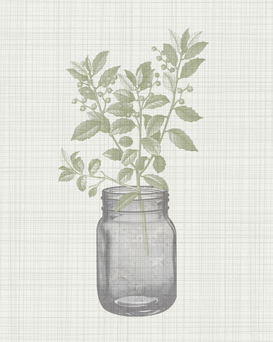 In the Jar 2 White Modern Wood Framed Art Print with Double Matting by Kimberly, Allen