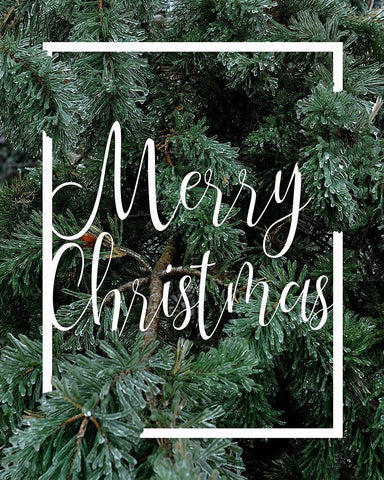 Merry Christmas Foliage Black Ornate Wood Framed Art Print with Double Matting by Kimberly, Allen