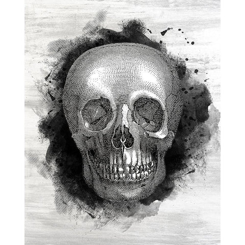 Skull White Modern Wood Framed Art Print by Kimberly, Allen