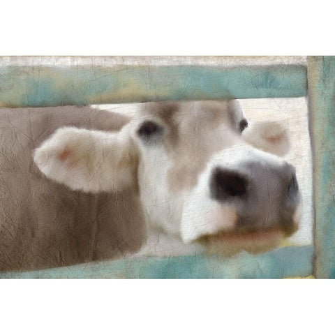 Out of the Fence Gold Ornate Wood Framed Art Print with Double Matting by Kimberly, Allen