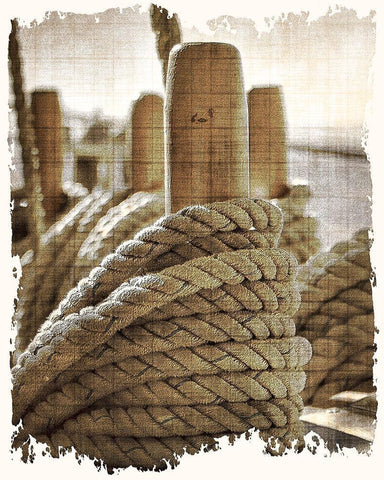 Learning the Ropes 1 White Modern Wood Framed Art Print with Double Matting by Kimberly, Allen