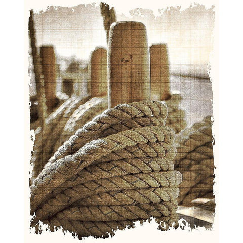 Learning the Ropes 1 Black Modern Wood Framed Art Print with Double Matting by Kimberly, Allen