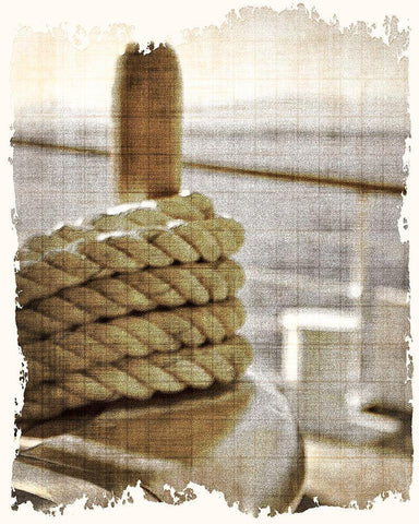 Learning the Ropes 2 Black Ornate Wood Framed Art Print with Double Matting by Kimberly, Allen