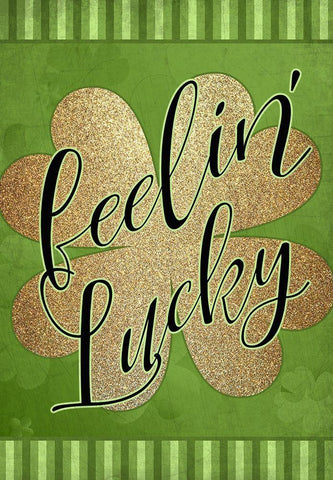 Feelin Lucky White Modern Wood Framed Art Print with Double Matting by Kimberly, Allen