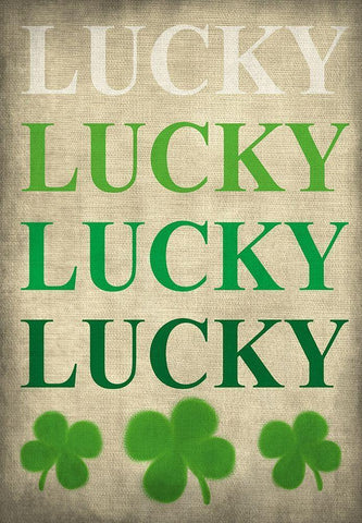 Lucky Lucky Lucky White Modern Wood Framed Art Print with Double Matting by Kimberly, Allen