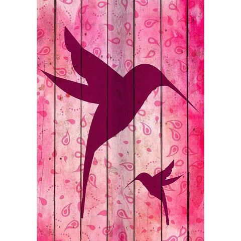 Hummingbird Pink Black Modern Wood Framed Art Print with Double Matting by Kimberly, Allen