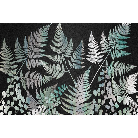 Sparkle Ferns Black Modern Wood Framed Art Print with Double Matting by Kimberly, Allen