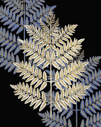 Gilded Fern 1 Black Ornate Wood Framed Art Print with Double Matting by Kimberly, Allen