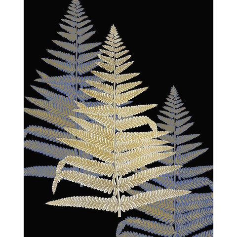 Gilded Fern 2 White Modern Wood Framed Art Print by Kimberly, Allen