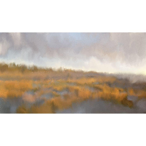 Across The Marsh Black Modern Wood Framed Art Print with Double Matting by Kimberly, Allen