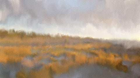 Across The Marsh Black Ornate Wood Framed Art Print with Double Matting by Kimberly, Allen