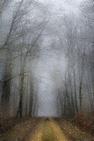 Road of Mysteries White Modern Wood Framed Art Print with Double Matting by Kimberly, Allen