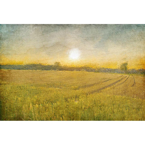 Already to Harvest Gold Ornate Wood Framed Art Print with Double Matting by Kimberly, Allen