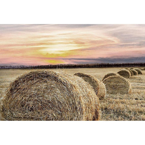 Farmers Harvest Black Modern Wood Framed Art Print with Double Matting by Kimberly, Allen