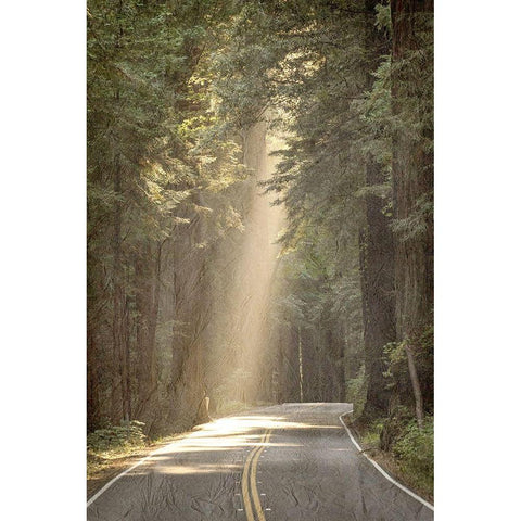 Lets get Lost Road White Modern Wood Framed Art Print by Kimberly, Allen