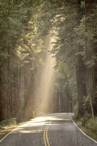 Lets get Lost Road Black Ornate Wood Framed Art Print with Double Matting by Kimberly, Allen