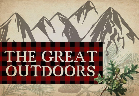 Rustic Lodge 3 White Modern Wood Framed Art Print with Double Matting by Kimberly, Allen