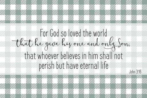 John 3 16 Black Ornate Wood Framed Art Print with Double Matting by Kimberly, Allen