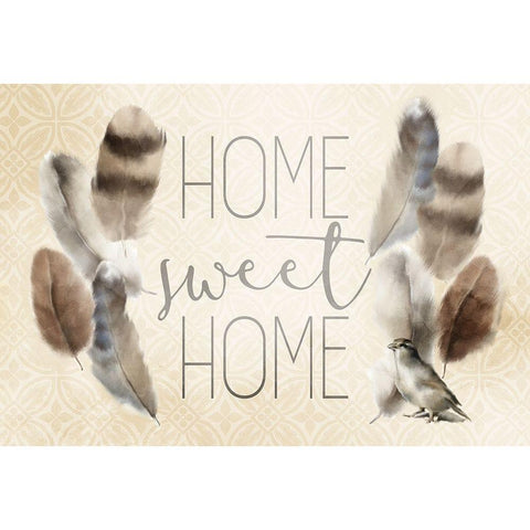 Home Sweet Home Feathers Black Modern Wood Framed Art Print with Double Matting by Kimberly, Allen