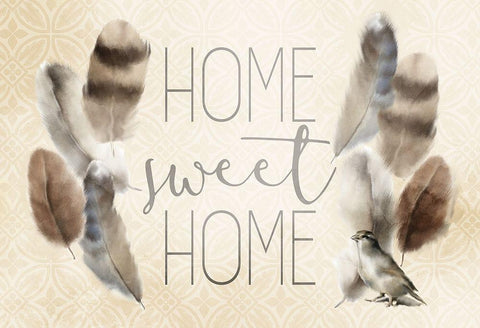 Home Sweet Home Feathers White Modern Wood Framed Art Print with Double Matting by Kimberly, Allen