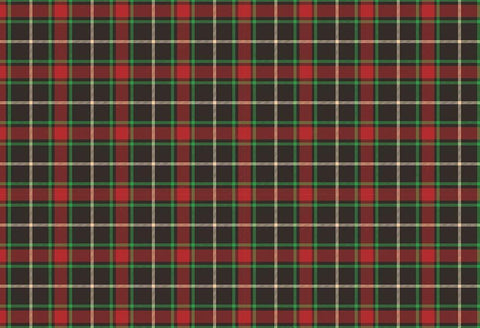 Christmas Plaid White Modern Wood Framed Art Print with Double Matting by Kimberly, Allen