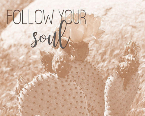 Follow Your Soul 1 White Modern Wood Framed Art Print with Double Matting by Kimberly, Allen