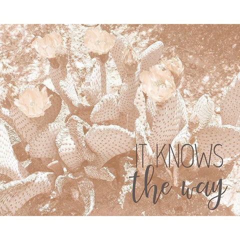 Follow Your Soul 2 White Modern Wood Framed Art Print by Kimberly, Allen