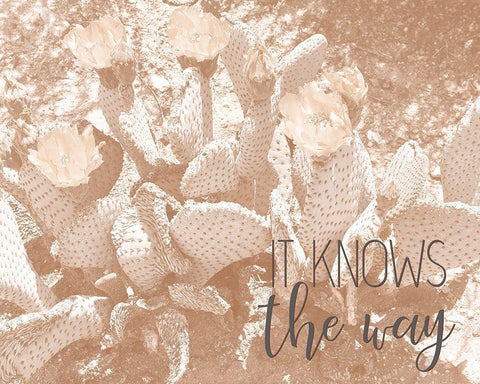 Follow Your Soul 2 White Modern Wood Framed Art Print with Double Matting by Kimberly, Allen