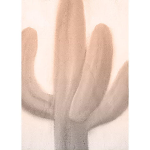 Pink Dusk Cactus 1 Black Modern Wood Framed Art Print with Double Matting by Kimberly, Allen