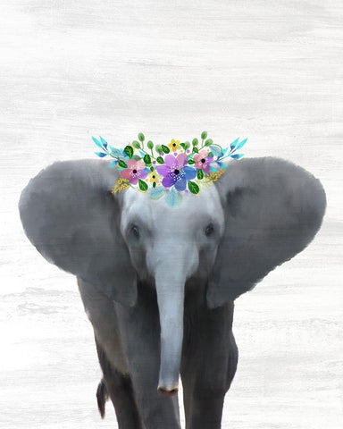 Baby Elephant White Modern Wood Framed Art Print with Double Matting by Kimberly, Allen