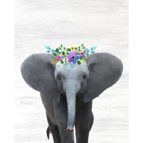 Baby Elephant Black Modern Wood Framed Art Print by Kimberly, Allen