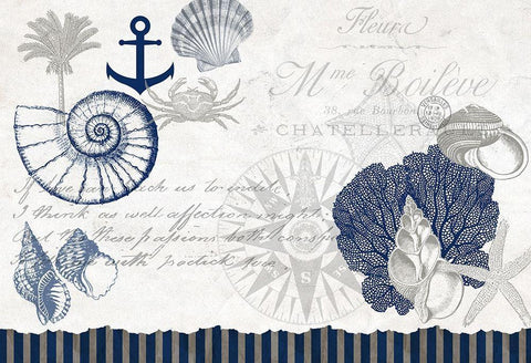 Adventures at Sea Black Ornate Wood Framed Art Print with Double Matting by Kimberly, Allen