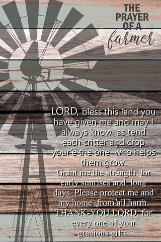 Prayer of A Farmer Black Ornate Wood Framed Art Print with Double Matting by Kimberly, Allen