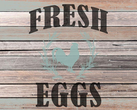 Farm Fresh Eggs White Modern Wood Framed Art Print with Double Matting by Kimberly, Allen