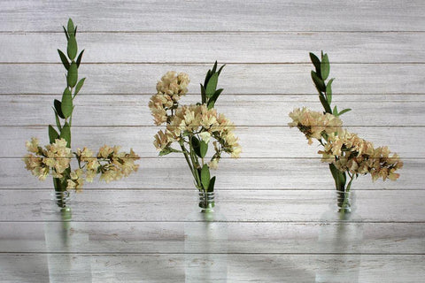 Three Vases 1 Black Ornate Wood Framed Art Print with Double Matting by Kimberly, Allen