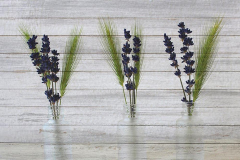 Three Vases 2 Black Ornate Wood Framed Art Print with Double Matting by Kimberly, Allen