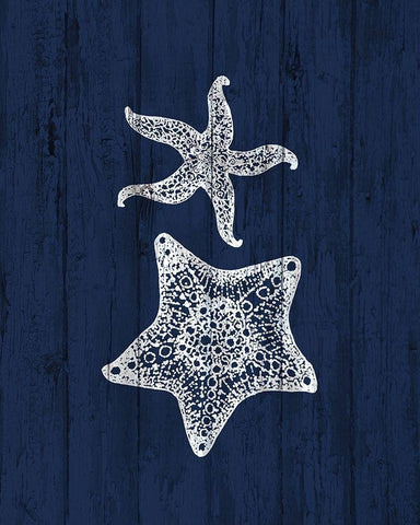 Beach House 1 Black Ornate Wood Framed Art Print with Double Matting by Kimberly, Allen