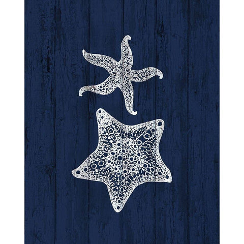 Beach House 1 Black Modern Wood Framed Art Print with Double Matting by Kimberly, Allen