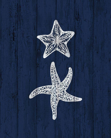 Beach House 3 White Modern Wood Framed Art Print with Double Matting by Kimberly, Allen