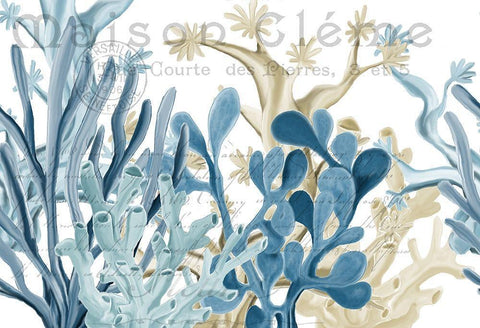 Coastal Coral 1 White Modern Wood Framed Art Print with Double Matting by Kimberly, Allen
