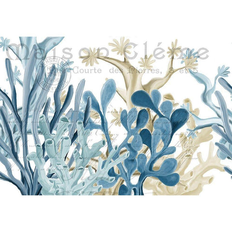 Coastal Coral 1 Gold Ornate Wood Framed Art Print with Double Matting by Kimberly, Allen