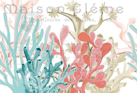 Coral Coastal 1 White Modern Wood Framed Art Print with Double Matting by Kimberly, Allen