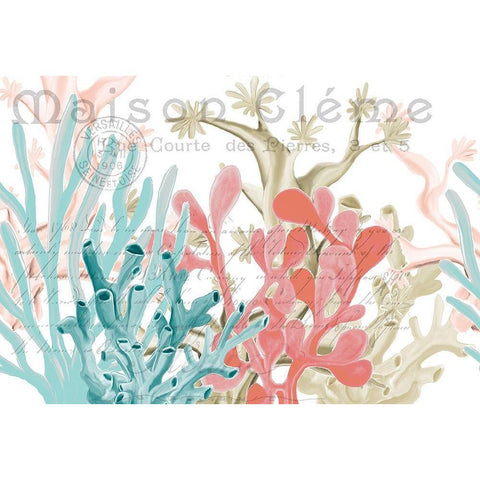 Coral Coastal 1 White Modern Wood Framed Art Print by Kimberly, Allen