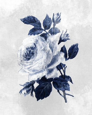 Linen Rose 3 White Modern Wood Framed Art Print with Double Matting by Kimberly, Allen