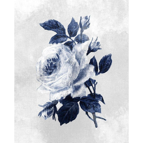 Linen Rose 3 White Modern Wood Framed Art Print by Kimberly, Allen